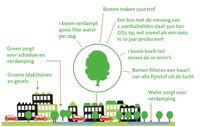 BuitenBeterAdvies Bomen voor een gezonde leefomgeving